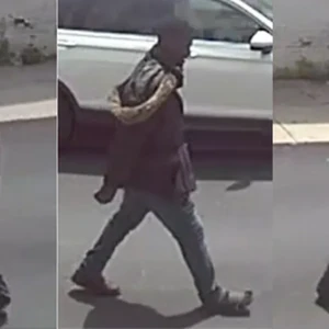 Police Seek Tips After Daytime Assault on Collins Street