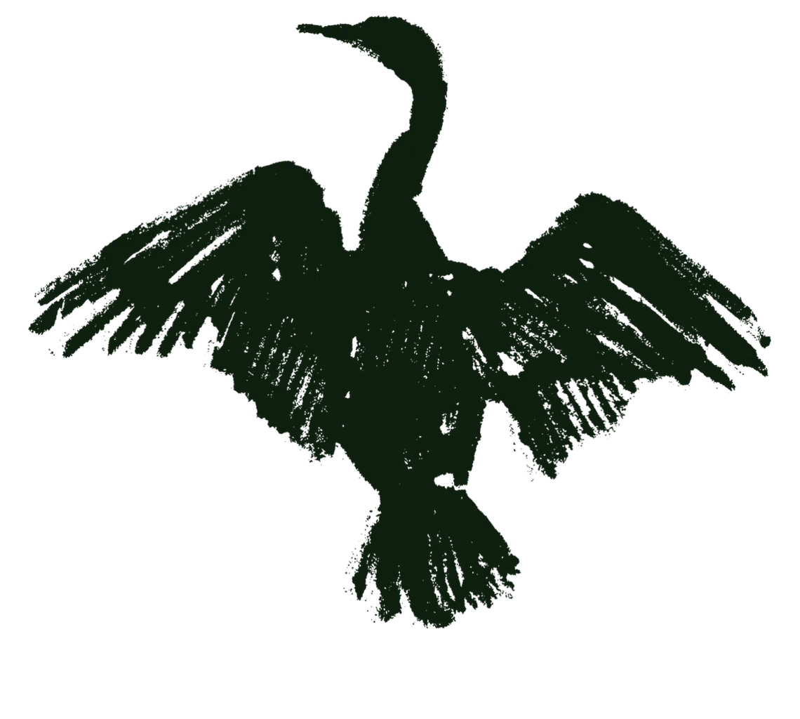 Cormorant Corner Bar