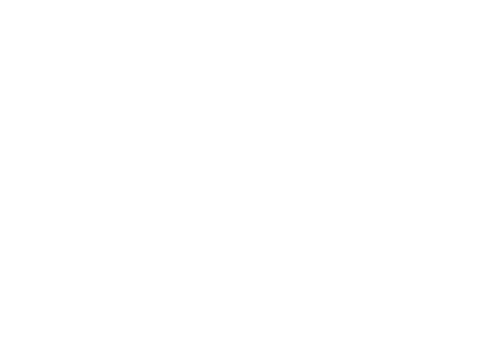 Fette Sau
