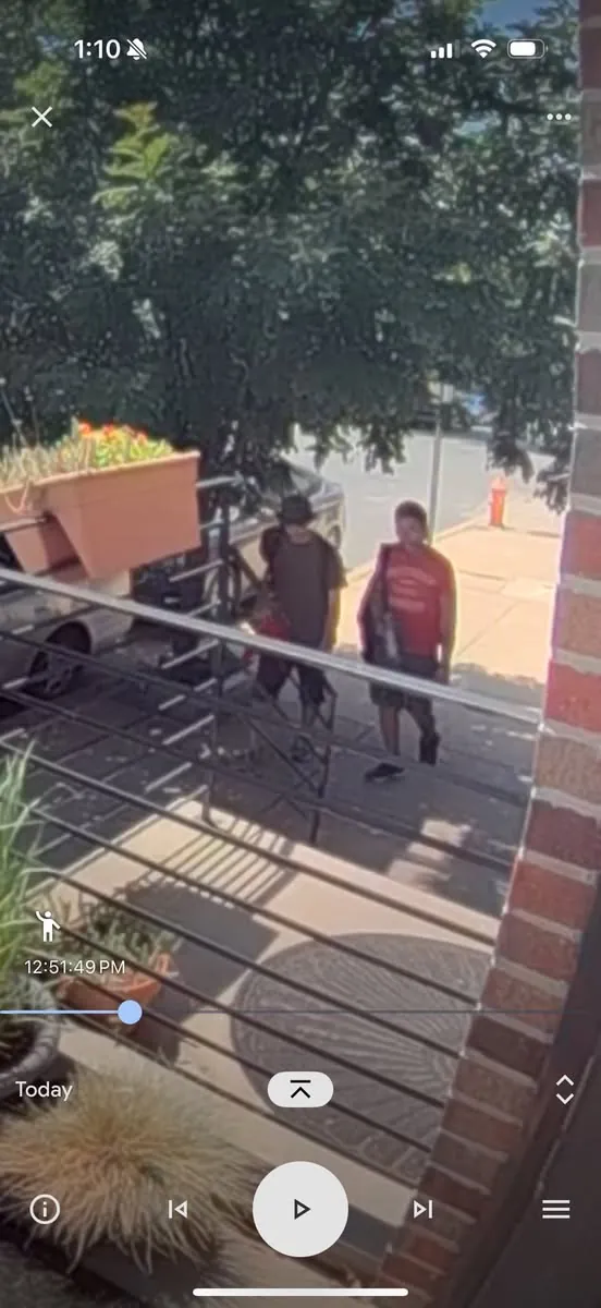 Package Thief 1