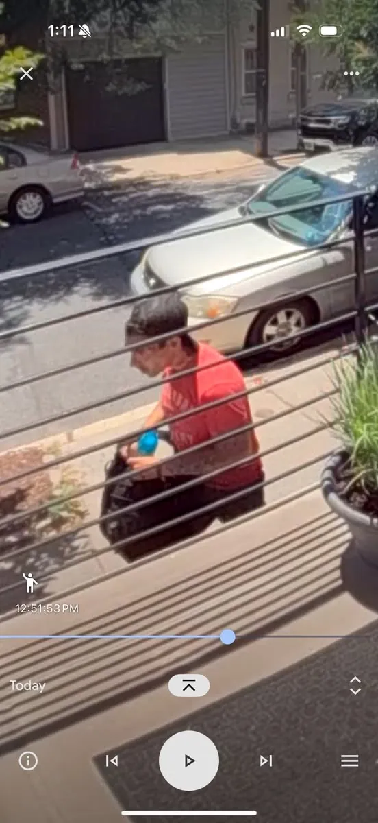Package Thief 2